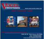 Vogel Show Lambs